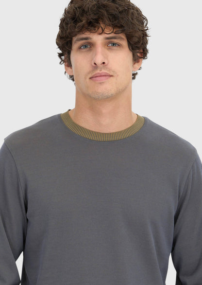 Graues, schlichtes Sweatshirt mit Rundhalsausschnitt