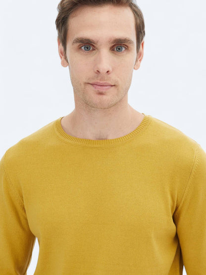 Strickpullover aus schlichter Baumwollmischung mit Rundhalsausschnitt