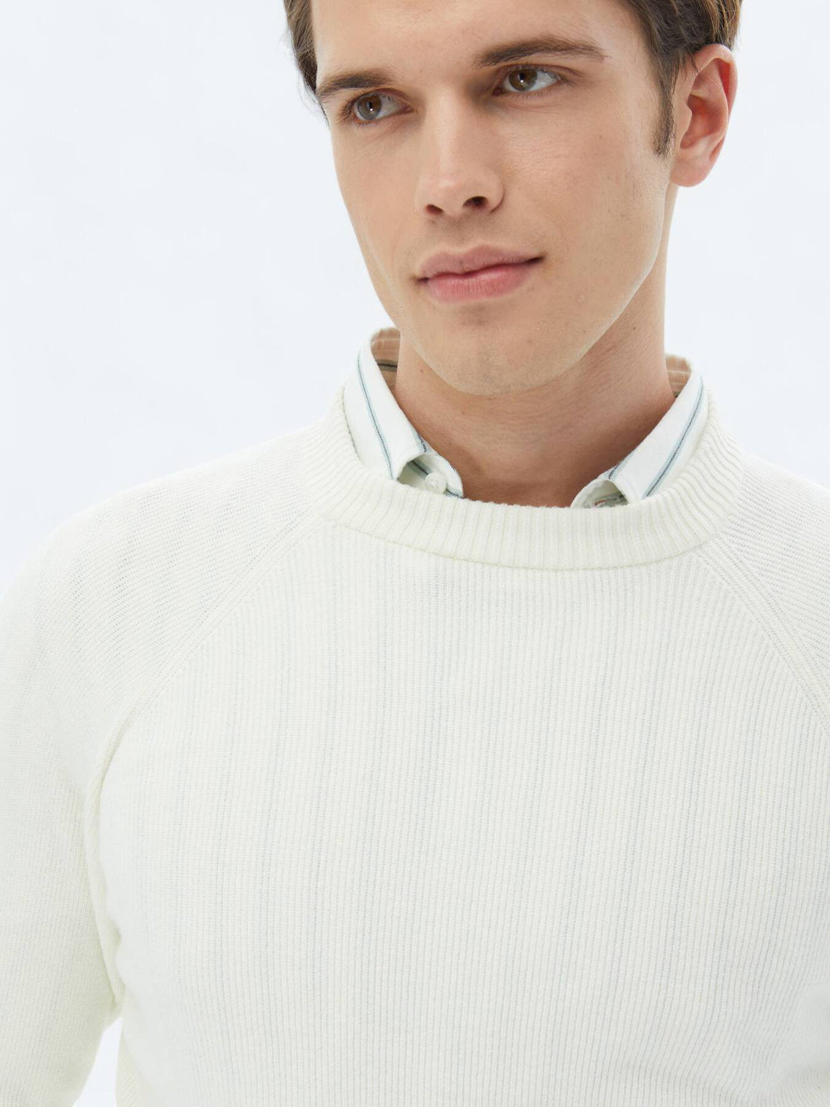 Gemusterter Strickpullover mit Rundhalsausschnitt