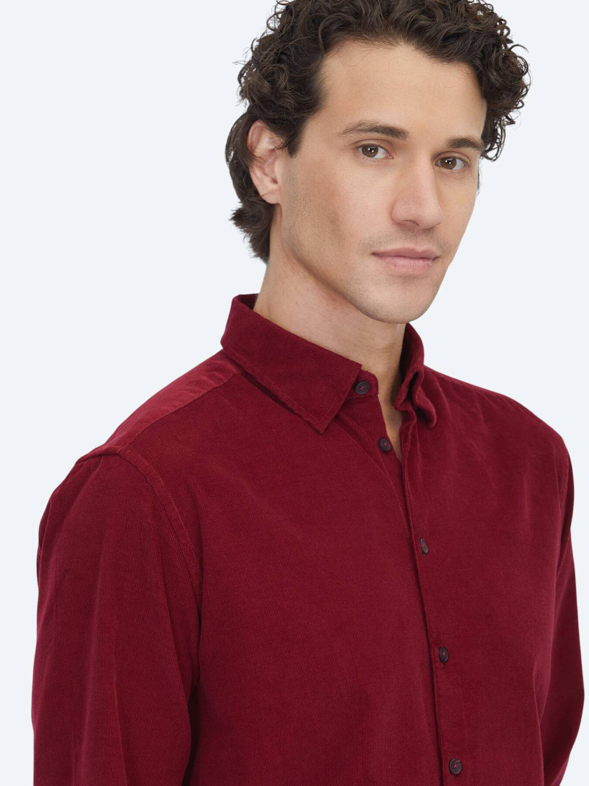 Rot gestreiftes Regular Fit Casual Hemd 100% Baumwolle
