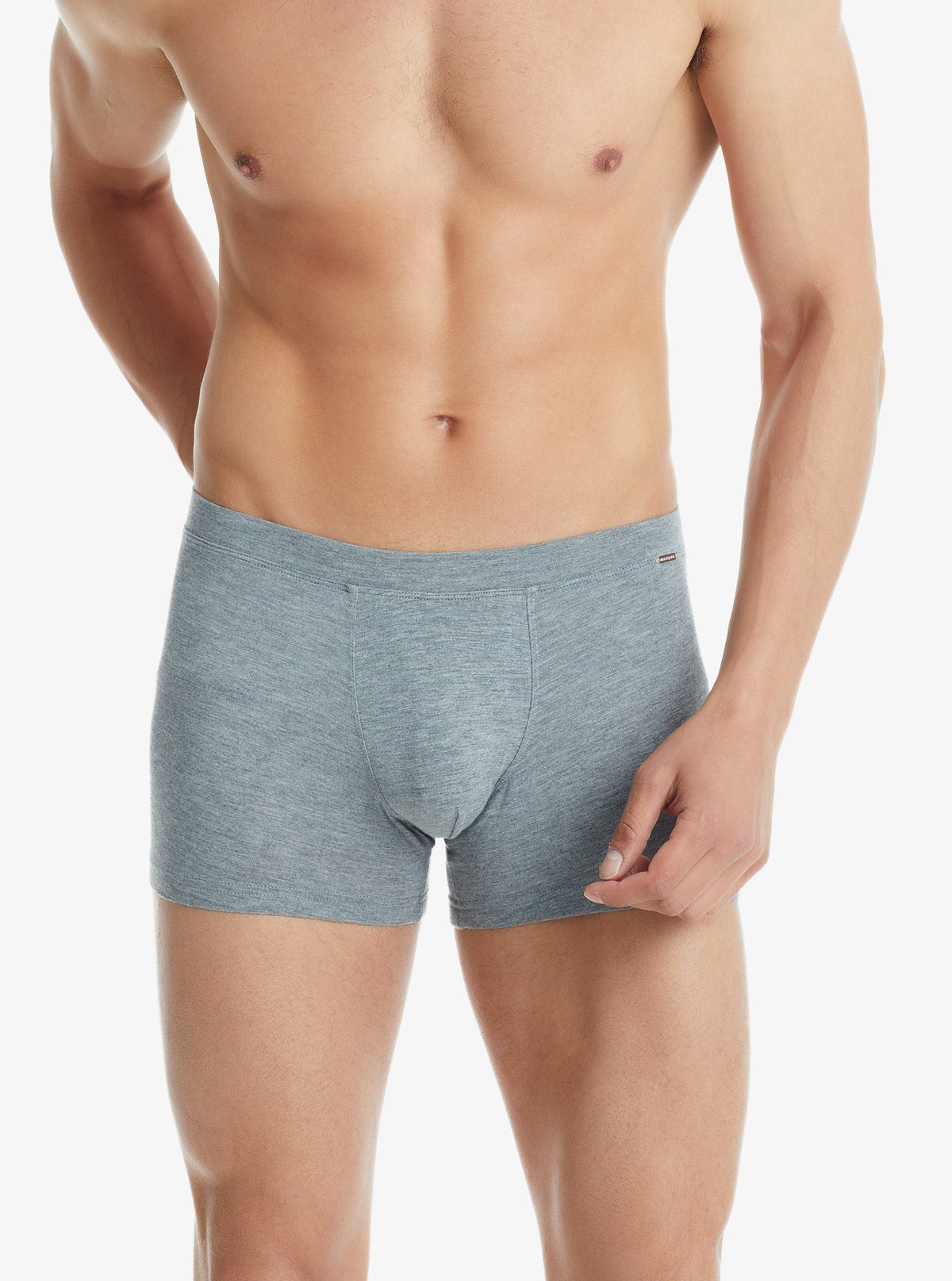 Herren Modal Elastan Boxershorts 9310 - Grau