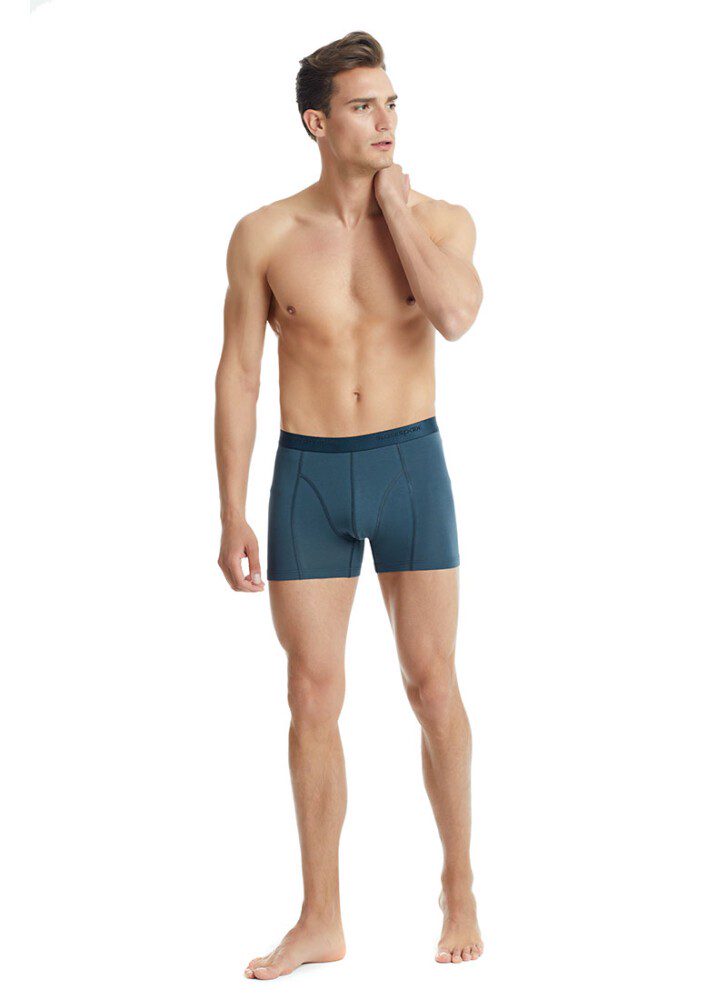 Herren Baumwoll Stretch Boxershorts Aura 9502 - Anthrazit