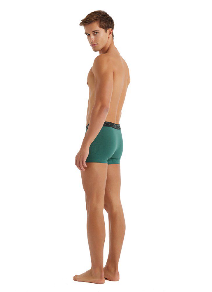 Herren Baumwoll Stretch Boxershorts 9555 - Grün