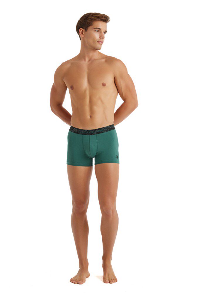 Herren Baumwoll Stretch Boxershorts 9555 - Grün
