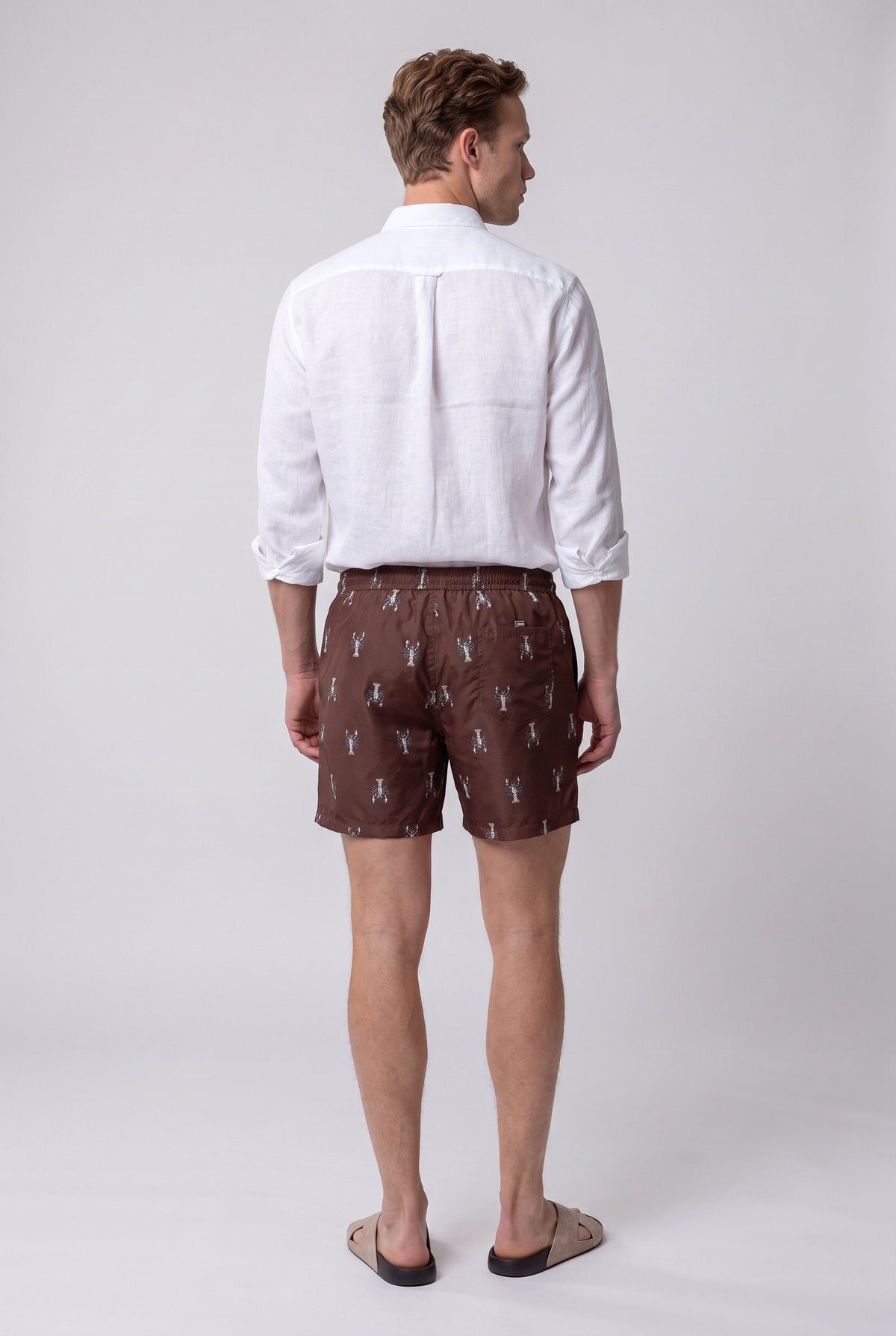 Ds Damat Braune Regular Fit Badeshorts