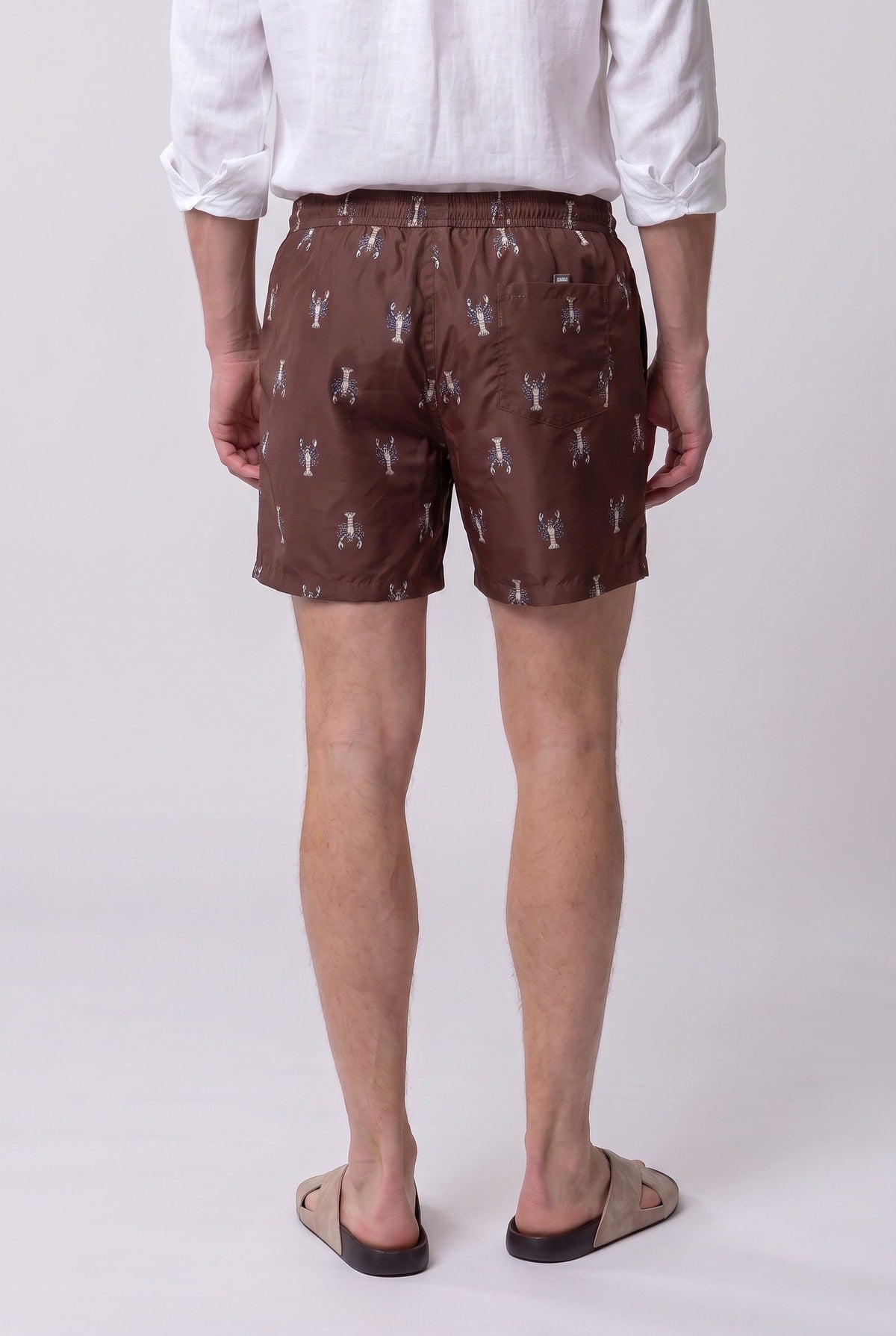 Ds Damat Braune Regular Fit Badeshorts