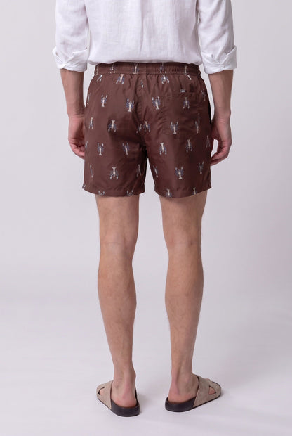 Ds Damat Braune Regular Fit Badeshorts