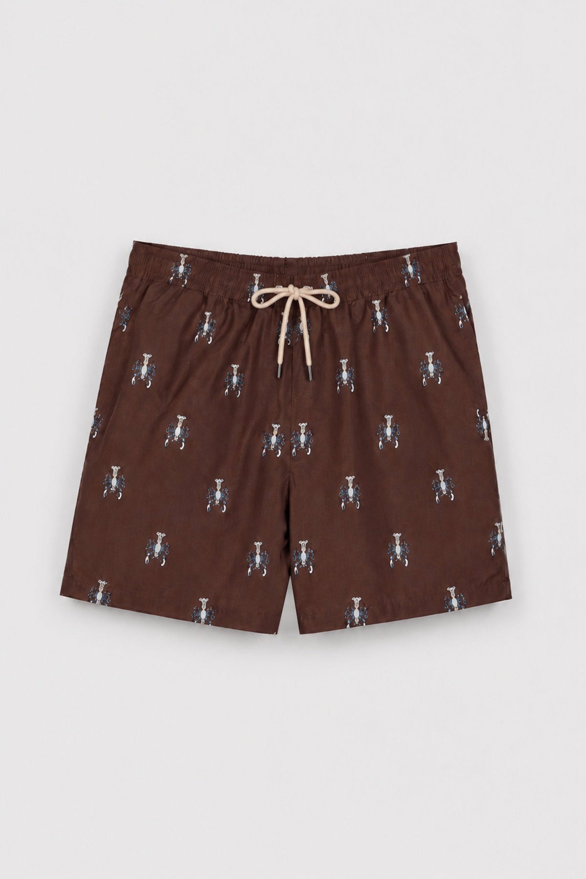 Ds Damat Braune Regular Fit Badeshorts