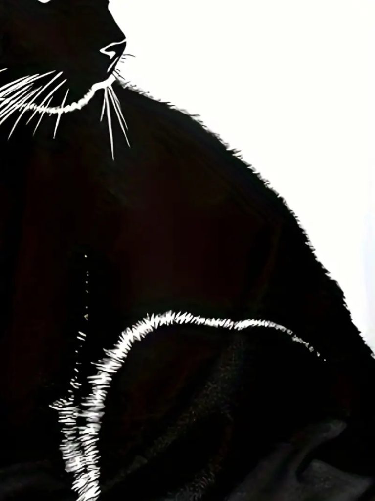 JANE'S Damen Langarm V-Ausschnitt Katze Bedruckte Tauchbluse