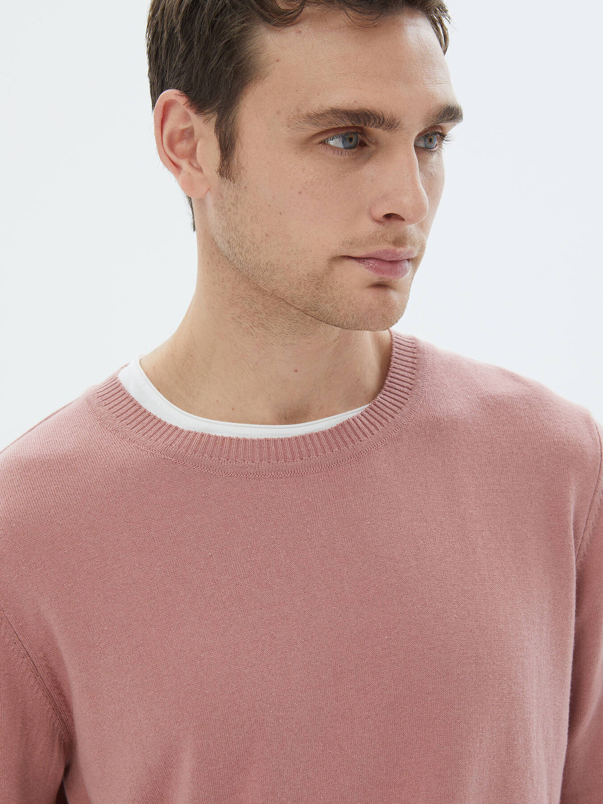 Strickpullover aus schlichter Baumwollmischung mit Rundhalsausschnitt
